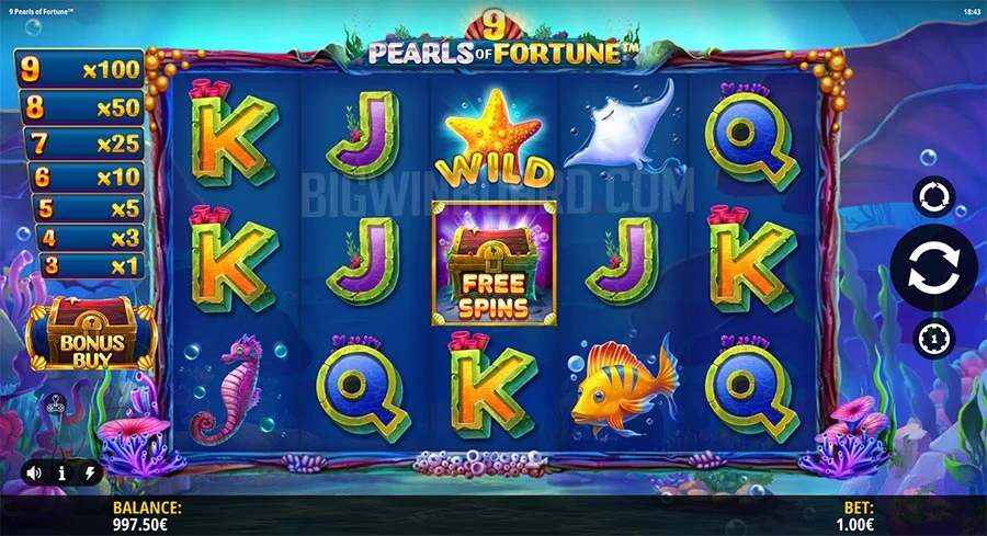 9 Pearls of Fortune